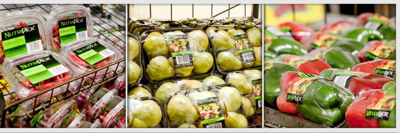 M & R Fruit & Veg Marketing (Pty) Ltd - supplier and manufacturer from 남아프리카공화국