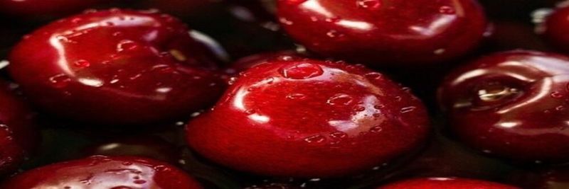 Aronia Swiss - supplier and manufacturer from 스위스