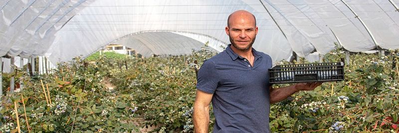 Shook-book - supplier and manufacturer from Israel