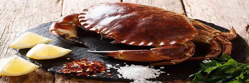 AO Seafood Ltd - supplier and manufacturer from United Kingdom