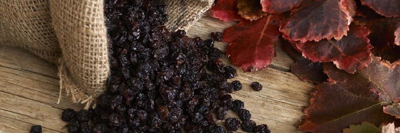 Belussis Currants JOHN PANAGIOTOPOULOS S.A. - supplier and manufacturer from Greece