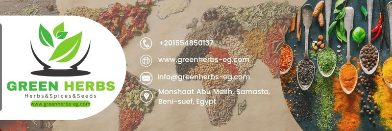 Green Herbs - Verified supplier and manufacturer from 이집트