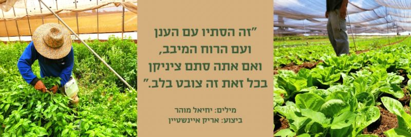 Sade Yarok - supplier and manufacturer from Israel