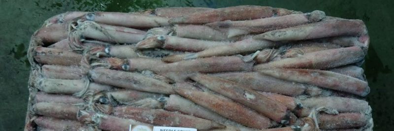 CV. Sumber Laut Rejeki - supplier and manufacturer from Indonesia