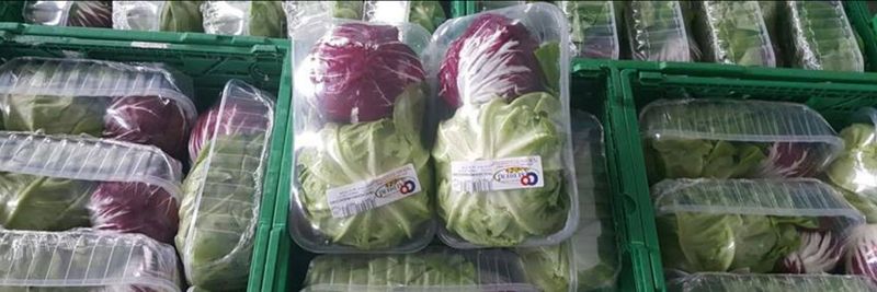 Caldieri Ortofrutticoli - supplier and manufacturer from 이탈리아