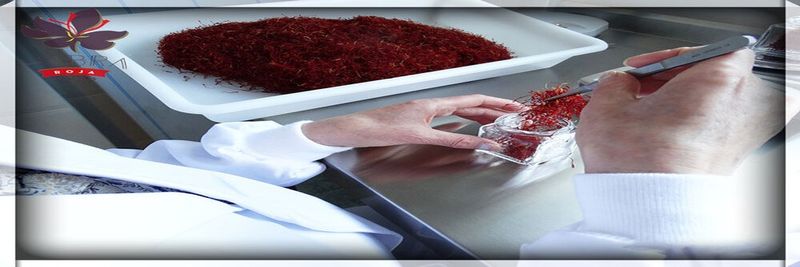 Azafranes Hebra Roja - supplier and manufacturer from 스페인