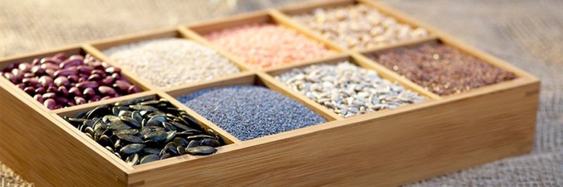 Coros Trade GmbH - supplier and manufacturer from 오스트리아
