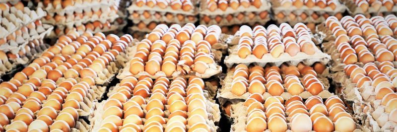 Elfora Agro Industries PLC - supplier and manufacturer from 에티오피아
