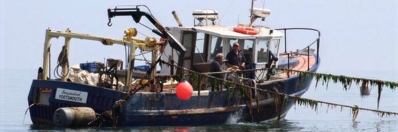 River Teign Shellfish Limited - supplier and manufacturer from United Kingdom