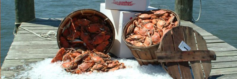 J.M. Clayton Seafood Company - supplier and manufacturer from 미국
