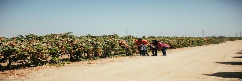 Sun-Maid Growers of California - supplier and manufacturer from 미국