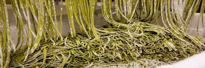 Pasta Piccinini, Inc. - supplier and manufacturer from 미국