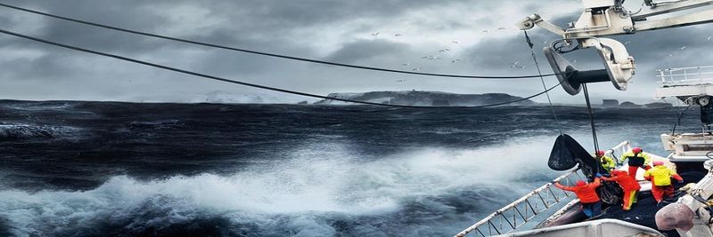 VSV - Vinnslustöðin hf. í Vestmannaeyjum - supplier and manufacturer from 아이슬란드
