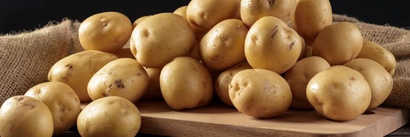 Valcke Aardappelen - supplier and manufacturer from Belgium