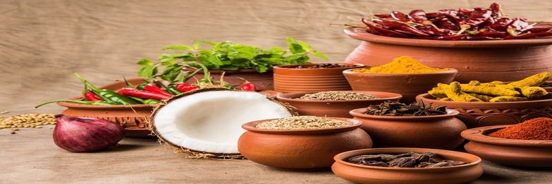 NARAYANI NATURALS - supplier and manufacturer from 인도