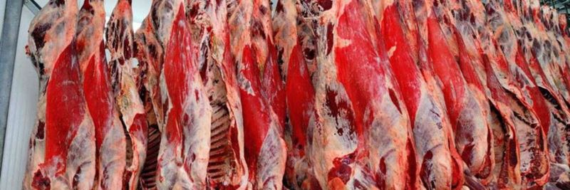 LLC Foram - supplier and manufacturer from 러시아
