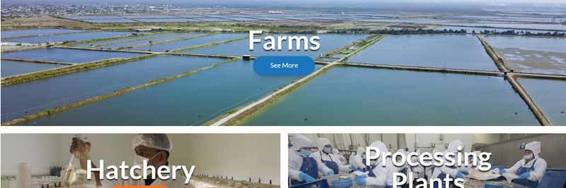 Marinasol S.A. - supplier and manufacturer from Peru