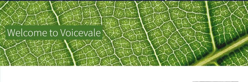 Voicevale France - supplier and manufacturer from 프랑스