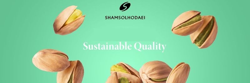 SHAMSOLHODAEI - supplier and manufacturer from 이란