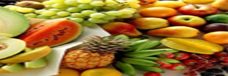 Ozturk Tarim Gida - supplier and manufacturer from 튀르키예