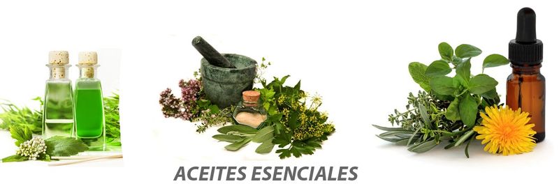 RAGO QUIMICOS - supplier and manufacturer from Mexico