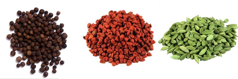 Green Forest - supplier and manufacturer from 과테말라