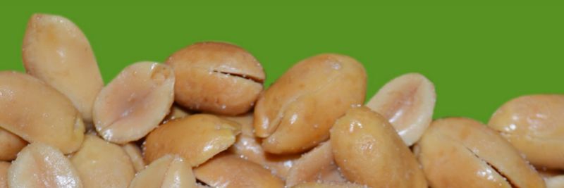 Sandy Land Peanut Company, Inc. - supplier and manufacturer from 미국