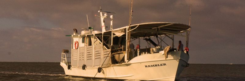 WILD REEF SEAFOOD - supplier and manufacturer from 미국