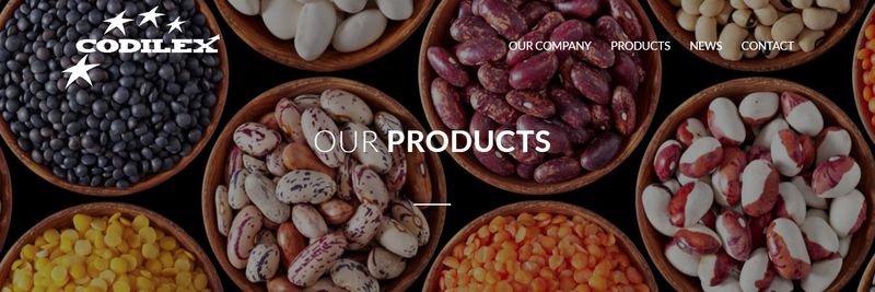 Codilex - supplier and manufacturer from Spain