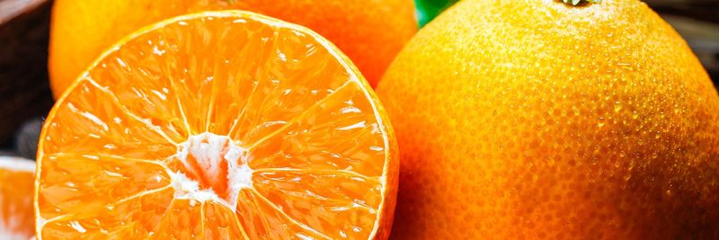 Guangdong SpriFresh Fruit Co., Ltd. - supplier and manufacturer from 중국