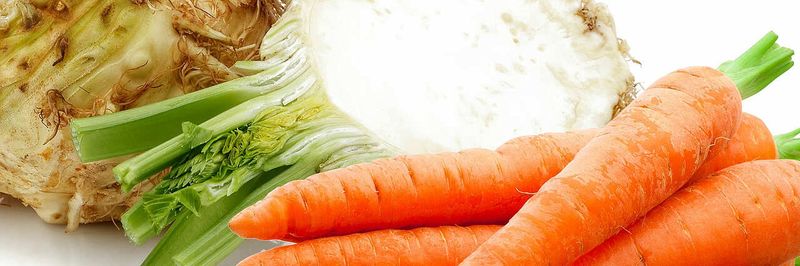 ANTIOXIDANTES NATURALES FOOD FRESHLY - supplier and manufacturer from Germany