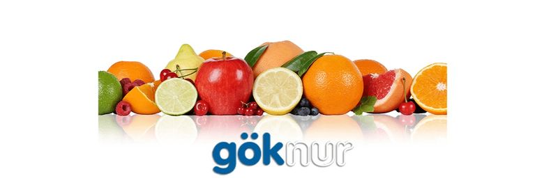 Goknur Gida Maddeleri Ithalat Ihracat Ticaret Ve San A.S. - supplier and manufacturer from Turkiye