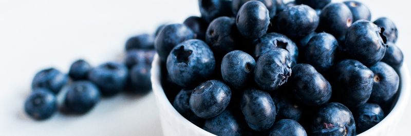 KRAAIJEVELD GROENTE EN FRUIT - supplier and manufacturer from Netherlands