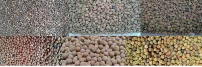 AMDEETEL EXPORT - supplier and manufacturer from Cameroon