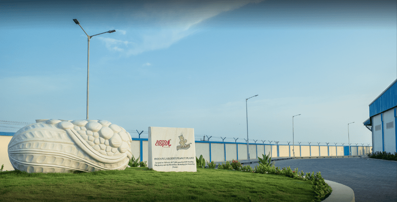 Agrocrops Exim Limited - Verified supplier and manufacturer from India