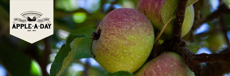 Apple A Day - supplier and manufacturer from 미국