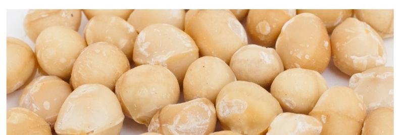 Harbourside Macadamias - supplier and manufacturer from 뉴질랜드