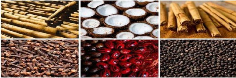 G.P. De Silva & Sons International (Pvt) Ltd - supplier and manufacturer from 스리랑카