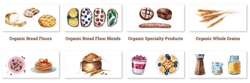 Great River Organic Milling - supplier and manufacturer from 미국