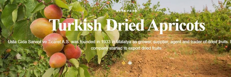 USTA GIDA SANAYI VE TICARET A.S. - supplier and manufacturer from 튀르키예