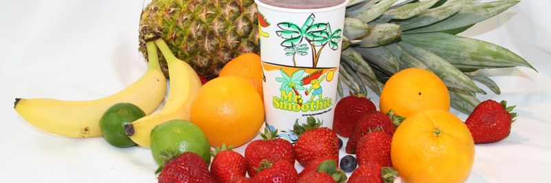 Mr Smoothie - supplier and manufacturer from United States