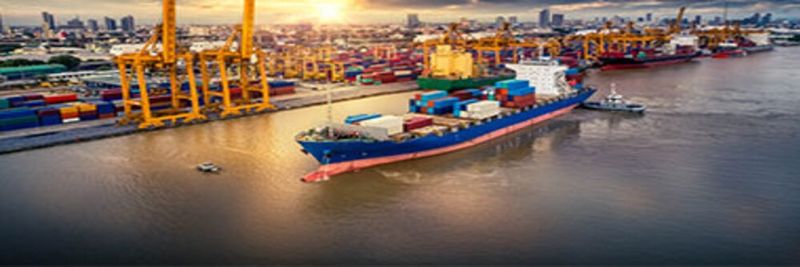 Gitas Gida - supplier and manufacturer from 튀르키예