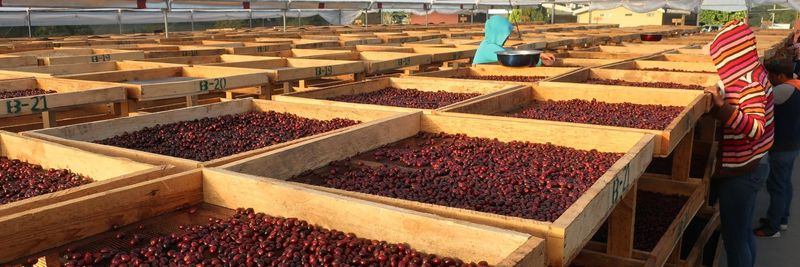 Sevenoaks Trading (Pty) Ltd - supplier and manufacturer from 남아프리카공화국