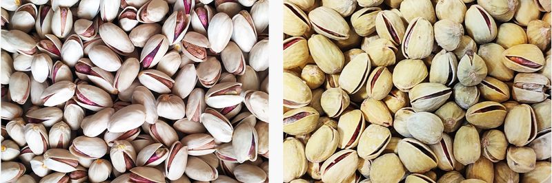 Arman Pegah Company - supplier and manufacturer from 이란