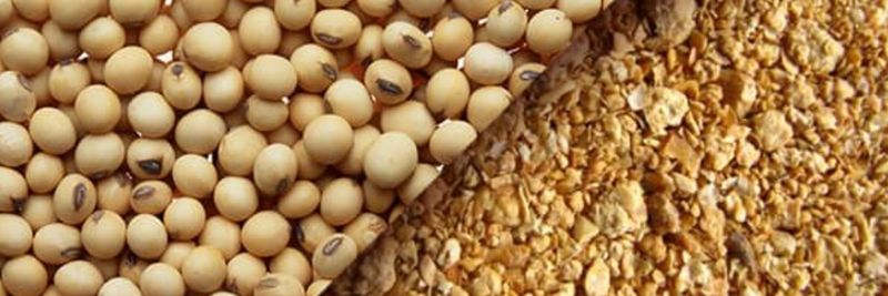 Afri Commodities Ltd - supplier and manufacturer from Cameroon