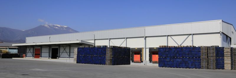 AGRICULTURAL COOP. OF FRUIT & VEGETABLE PROC. TRAD. OF NAOUSSA ASEPOP - supplier and manufacturer from Greece