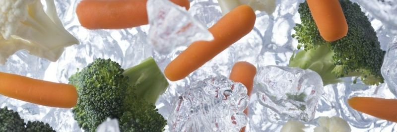 Dicogel-Begro - supplier and manufacturer from 벨기에