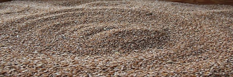 Kleeb Mill AG - supplier and manufacturer from 스위스