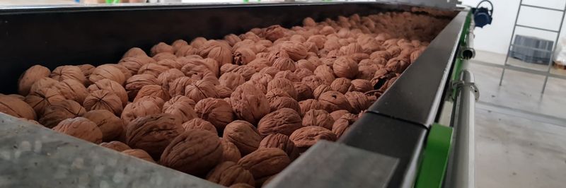 FRUTOS DE VETTONIA S.L. - supplier and manufacturer from 스페인
