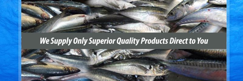 Premier Fish Products - supplier and manufacturer from Ireland